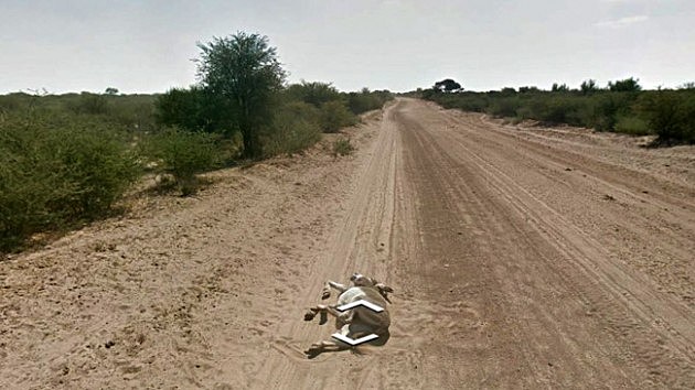 google donkey 2