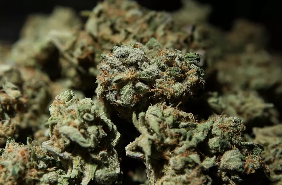 55,000 Signatures Needed To Start Process Of Legalizing Marijuana In Idaho