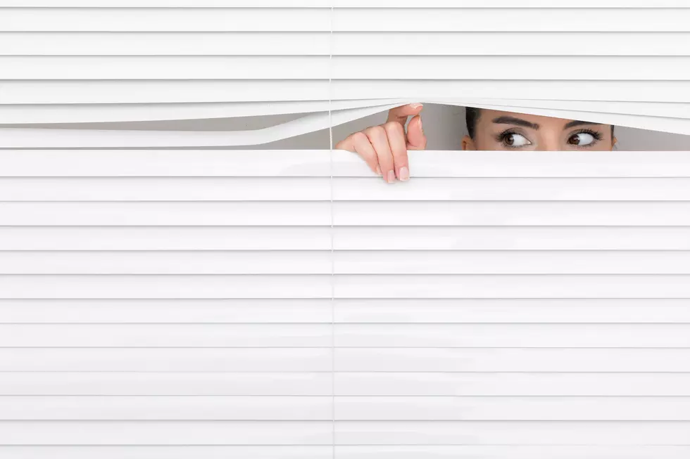 Idaho’s Horror Streaming Obsession