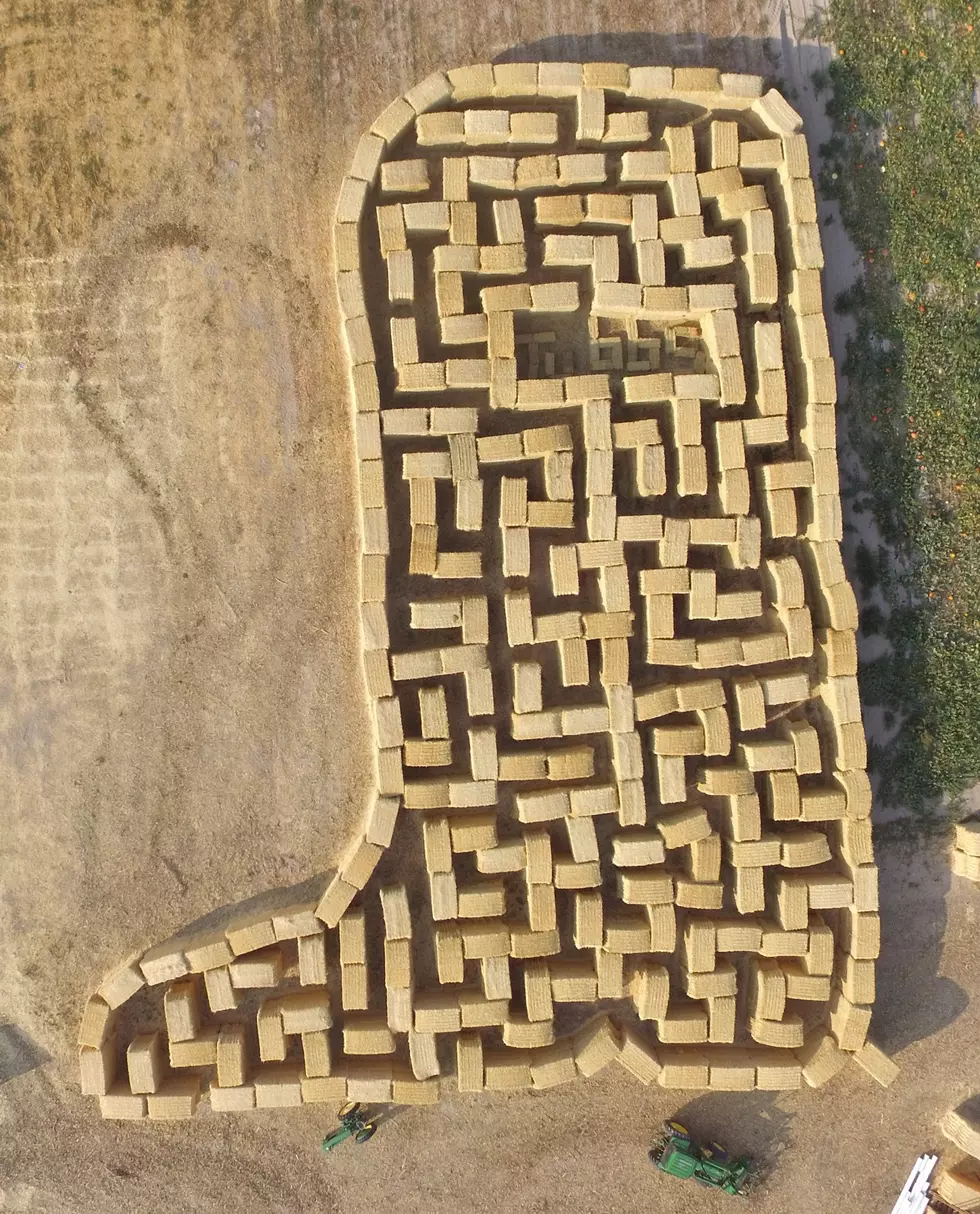 Tubbs Berry Farm Straw Maze And Pumpkin Patch Open Friday