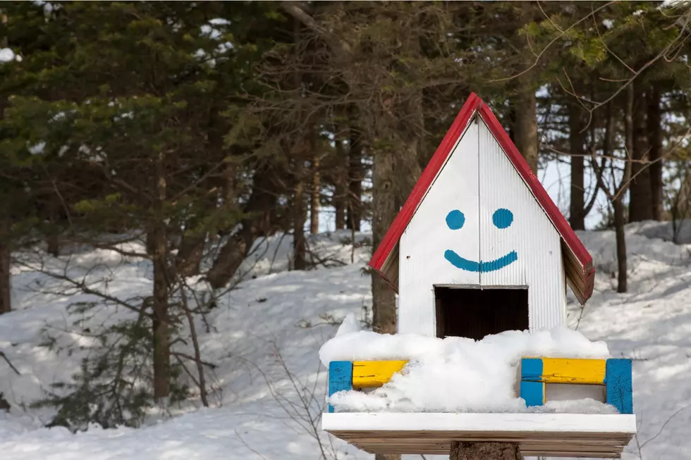 Do Magic Valley Mail Boxes Need a Personality Boost?