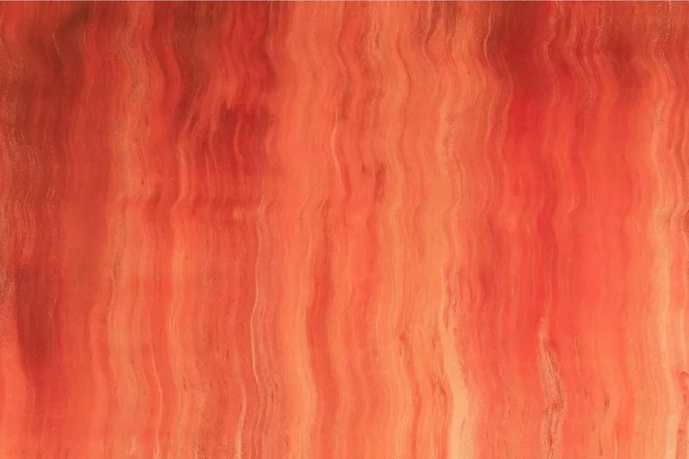 If You See Orange Paint on a Tree in Idaho, You Need to Run Away