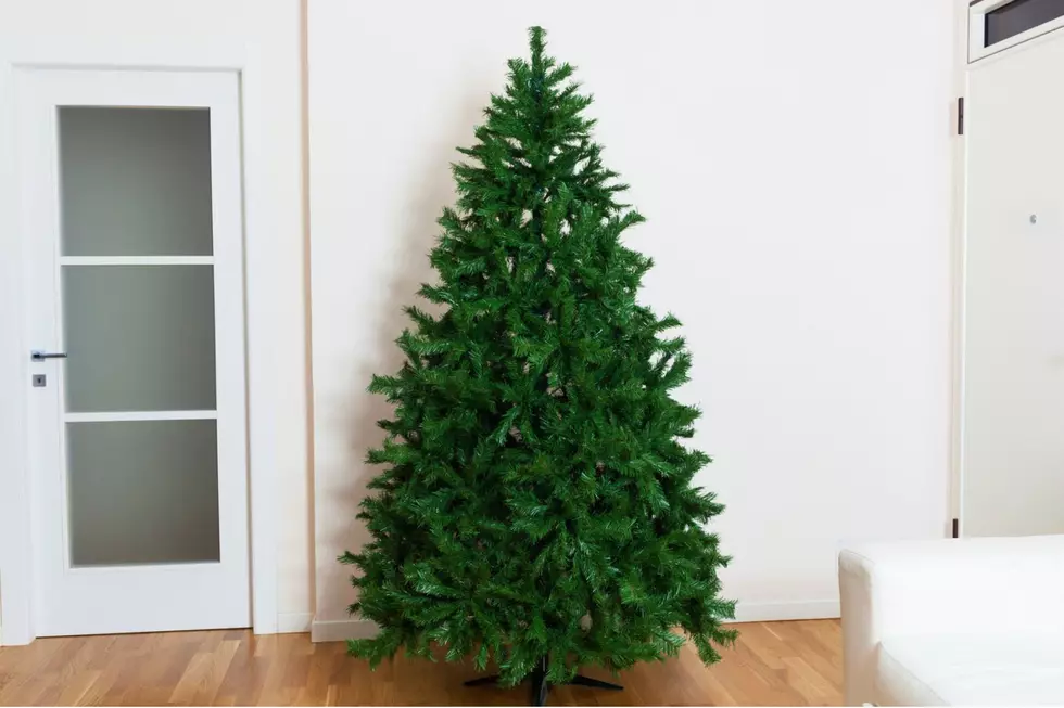 What to Do With a Dead Christmas Tree Before Christmas in Idaho