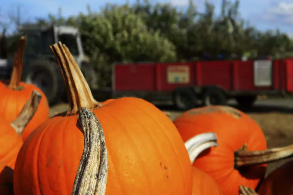 Fall Attraction Opening This Month in Twin Falls