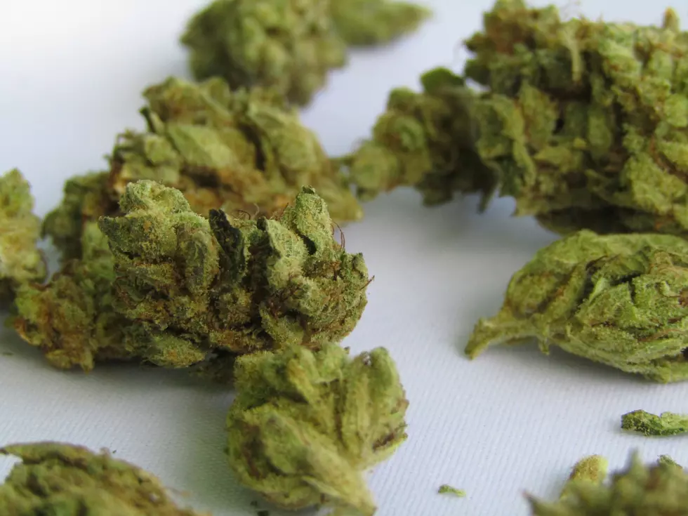 A Naked Idaho Dope User Gets 90 Days in the Slammer