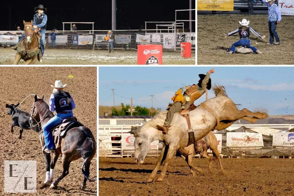 CSI Rodeo Team Wraps Up a Strong Start to The Fall Season