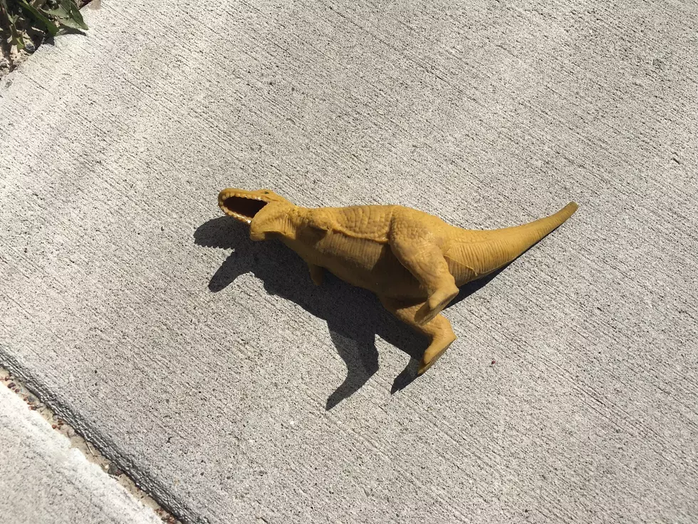 5 Strange Things I Found On The Side Of The Road In Twin Falls